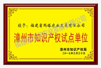 漳州知識(shí)產(chǎn)權(quán)試點(diǎn)單位.jpg