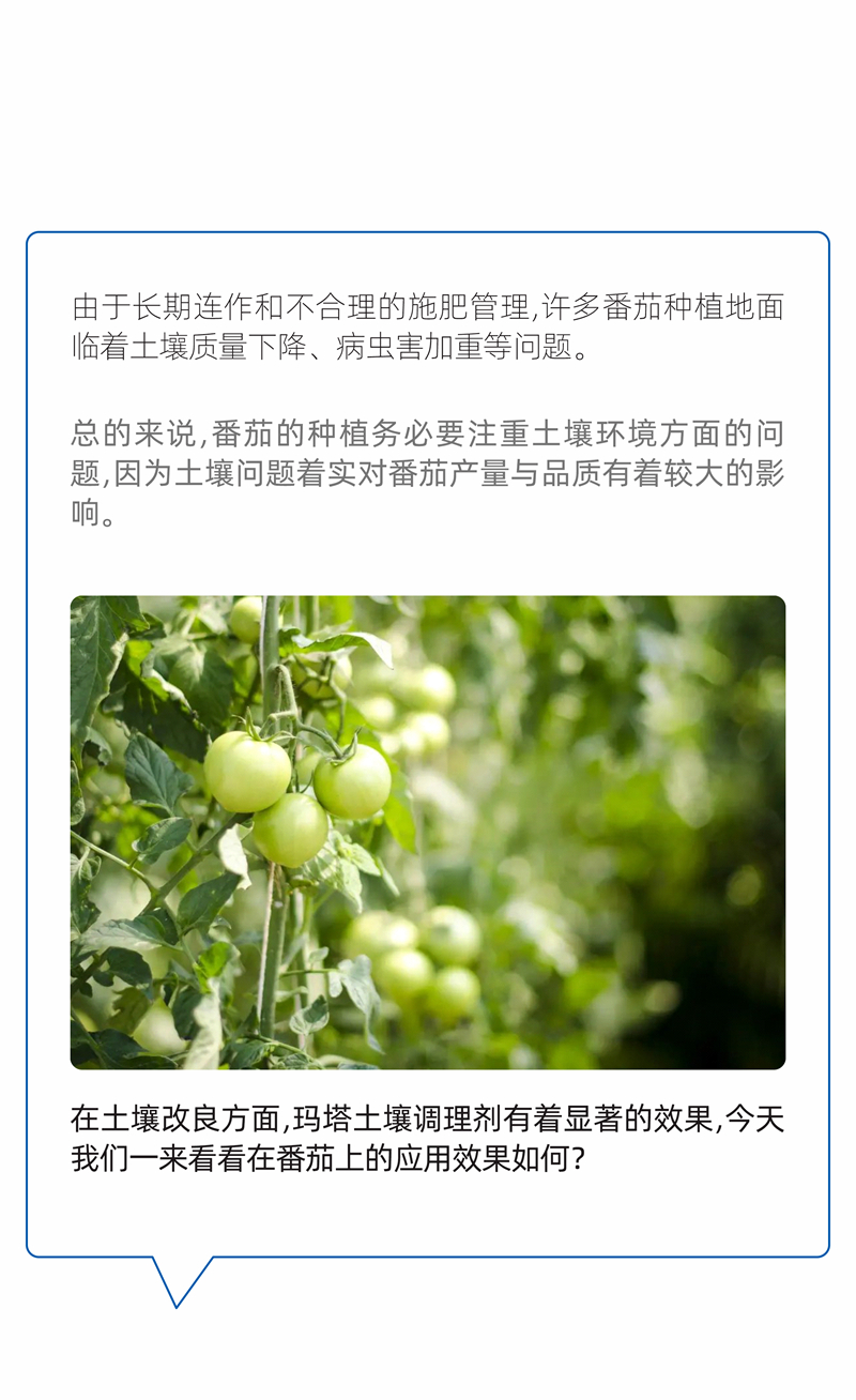 20240615廈門瑪塔公眾號(hào)排版設(shè)計(jì)_01.jpg
