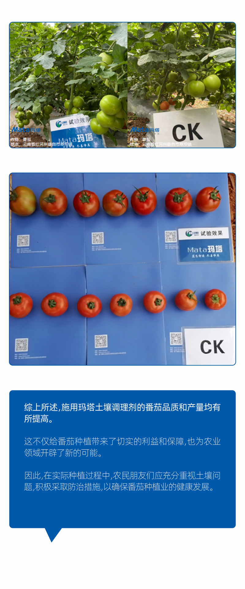 20240615廈門瑪塔公眾號(hào)排版設(shè)計(jì)_06.jpg